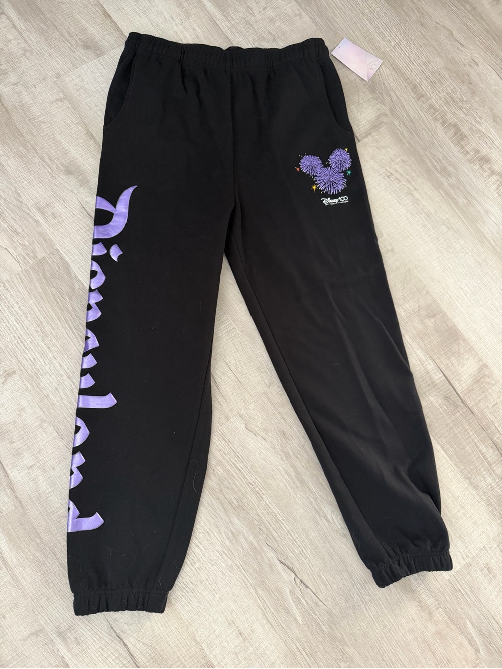 Disneyland Park Jogger Pants
Disney 100 Platinum
Celebration Finale Adult M NWT